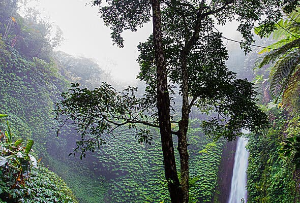 img-07-free-img.jpg Img 07 Free Img